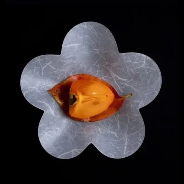 UTSUWA SAKURA plate